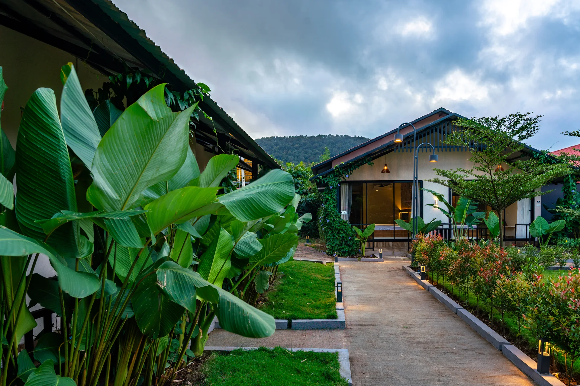 A cottage tucked into the greenery at Nadi Teera, Dandeli