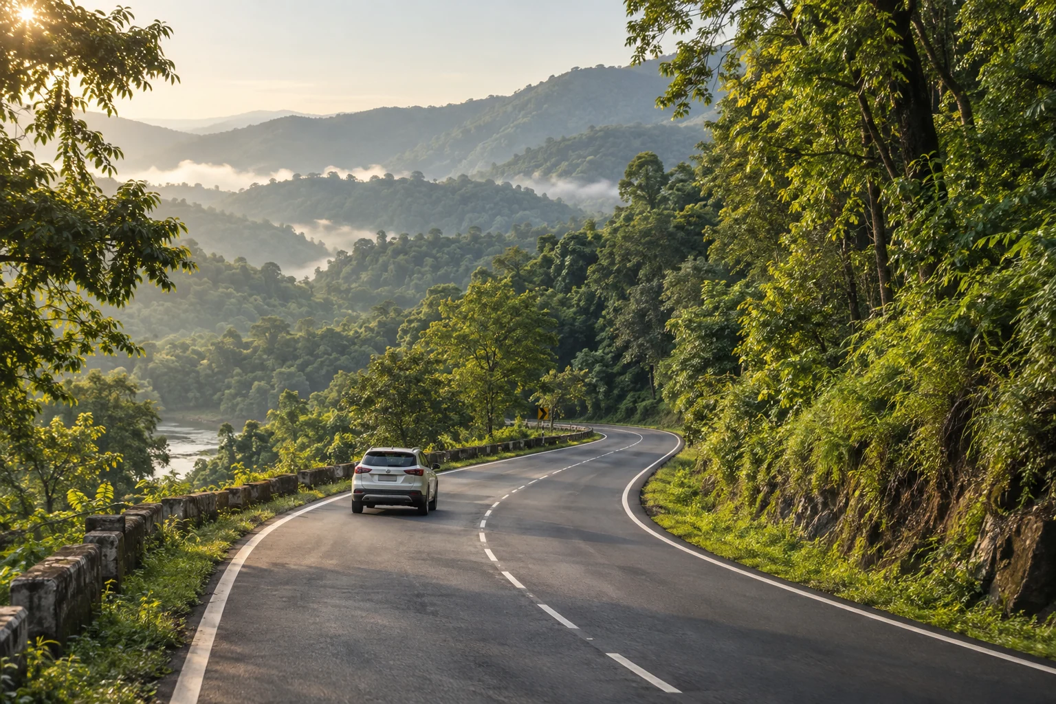 Illustration of a car on a winding forest road